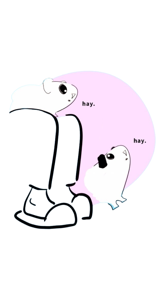 2 pigs at feet no background 2 pigs at feet no background